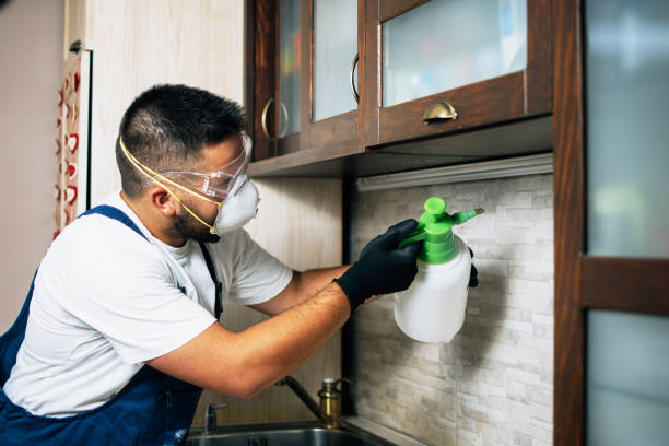 Best Mosquito Control Services  in Wilkesboro, NC