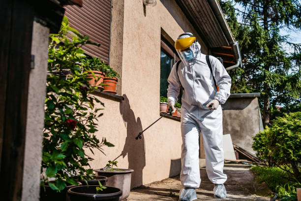 Professional Pest Control in Wilkesboro, NC
