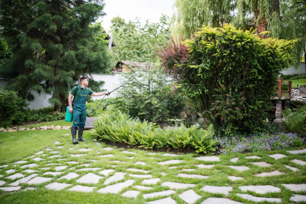 Reliable Wilkesboro, NC Pest Control Solutions