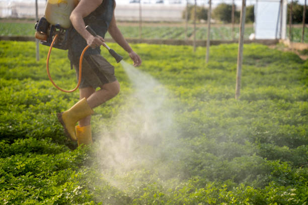 Best Affordable Pest Control Services  in Wilkesboro, NC