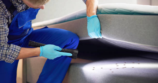 Best Pest Control for Businesses  in Wilkesboro, NC