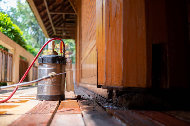 Best Cockroach Control Services  in Wilkesboro, NC
