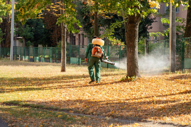 Wasp Removal Services in Wilkesboro, NC