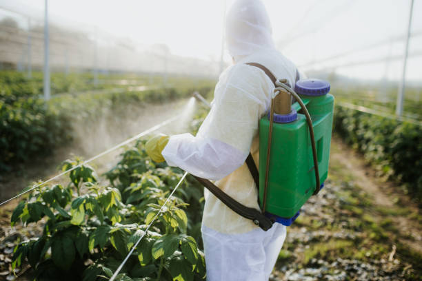 Best Emergency Pest Control  in Wilkesboro, NC